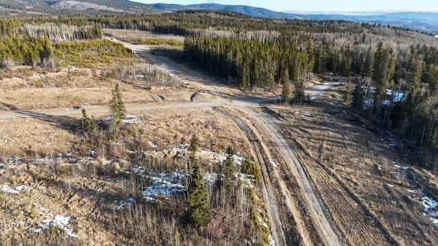Mountain Trail, Grande Cache, AB