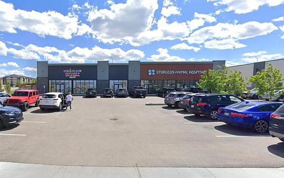 85 Neil Ross Road, St. Albert, AB