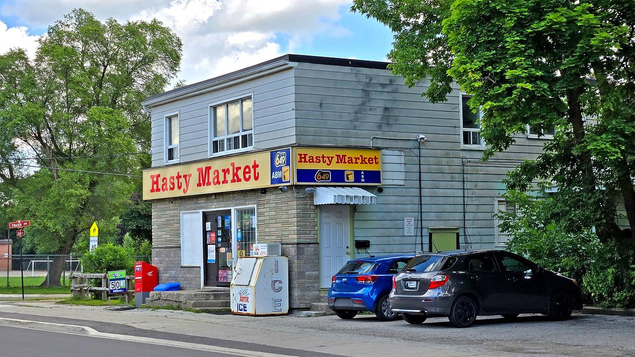 88 Elliott Street, Brampton, ON