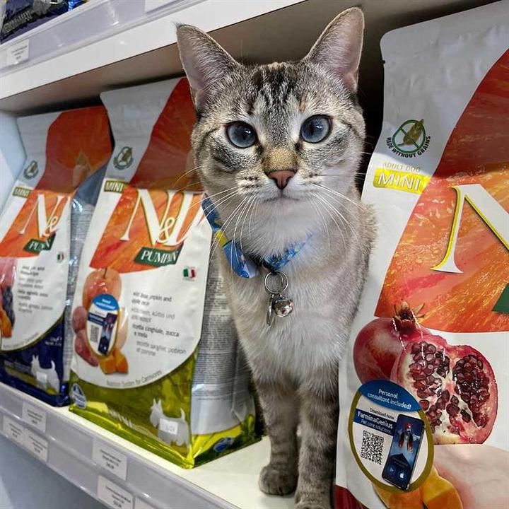 123 Pet Store Way, Edmonton, AB