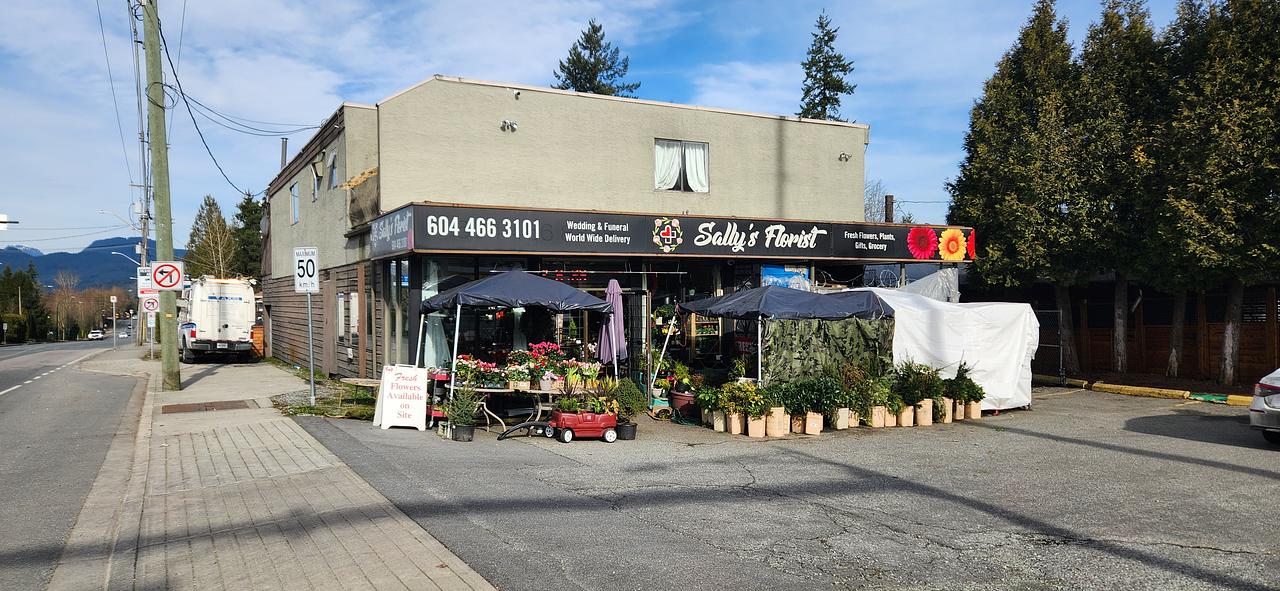 12010 232 Street, Maple Ridge, BC