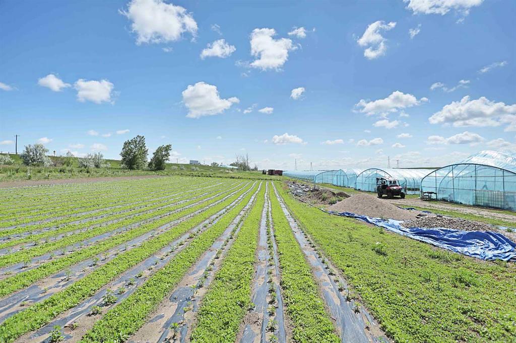 185077 RR153, Rural Newell, County of, AB