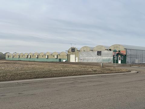 8 6 Street Southwest, Redcliff, AB