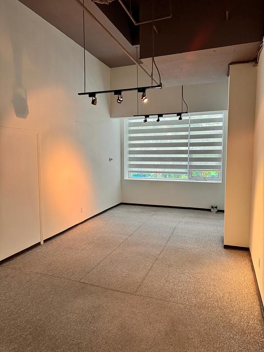 241 - 215-515 West Pender Street, Vancouver, BC