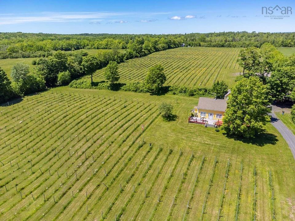 2635 Clementsvale Road, Bear River, NS