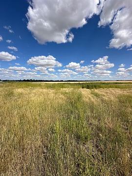 12003 Range Road 60a, Cypress County, AB