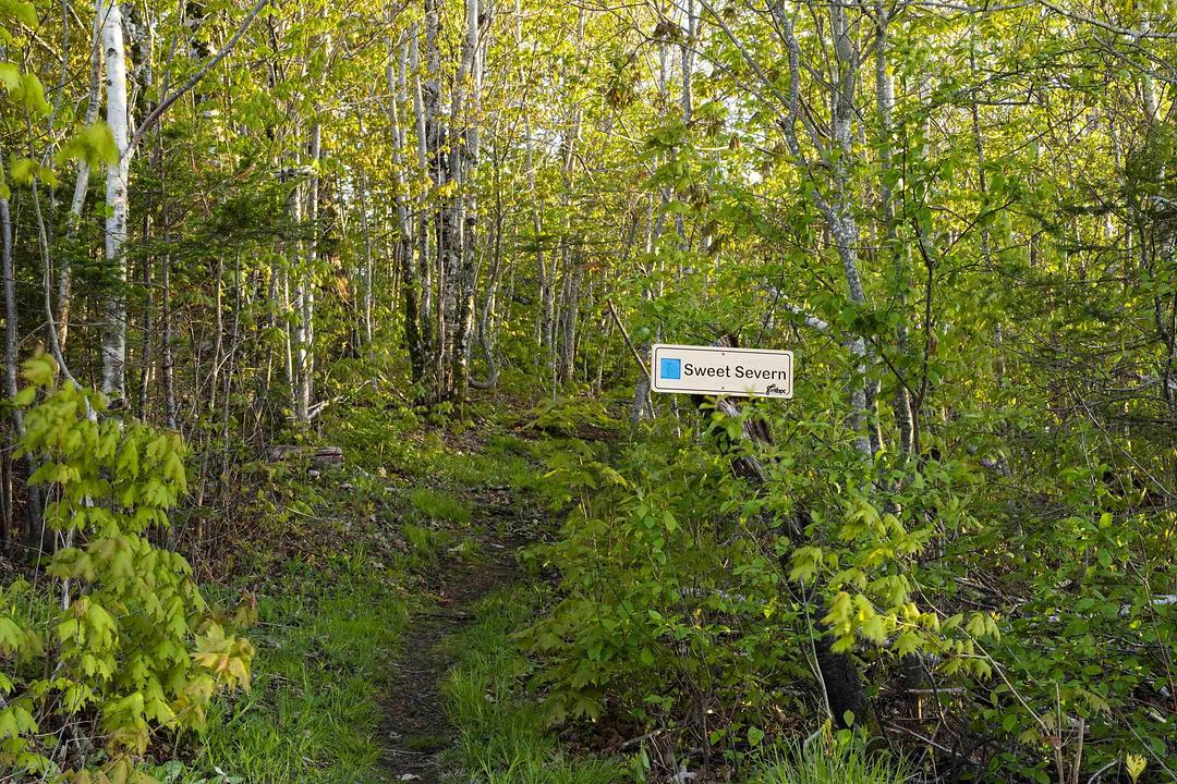 310 Fitzpatrick Mountain Road, Scotsburn, NS