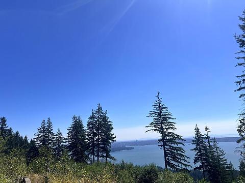 4140 Cypress Bowl Road, West Vancouver, BC