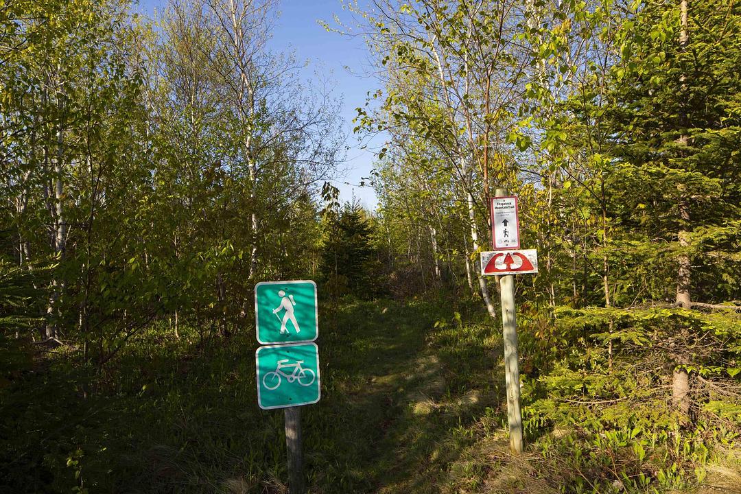 310 Fitzpatrick Mountain Road, Scotsburn, NS