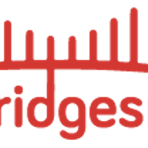 Two Bridges Realty Logo