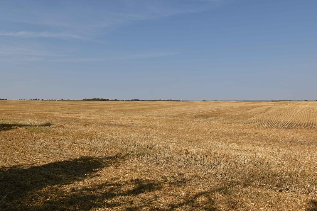 52301 Range Road 275, Parkland County, AB