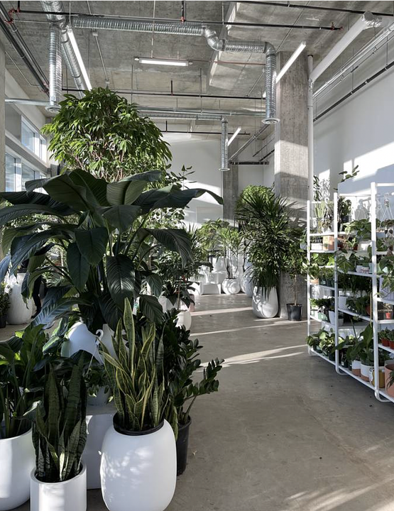 990 George Street, Vancouver, BC