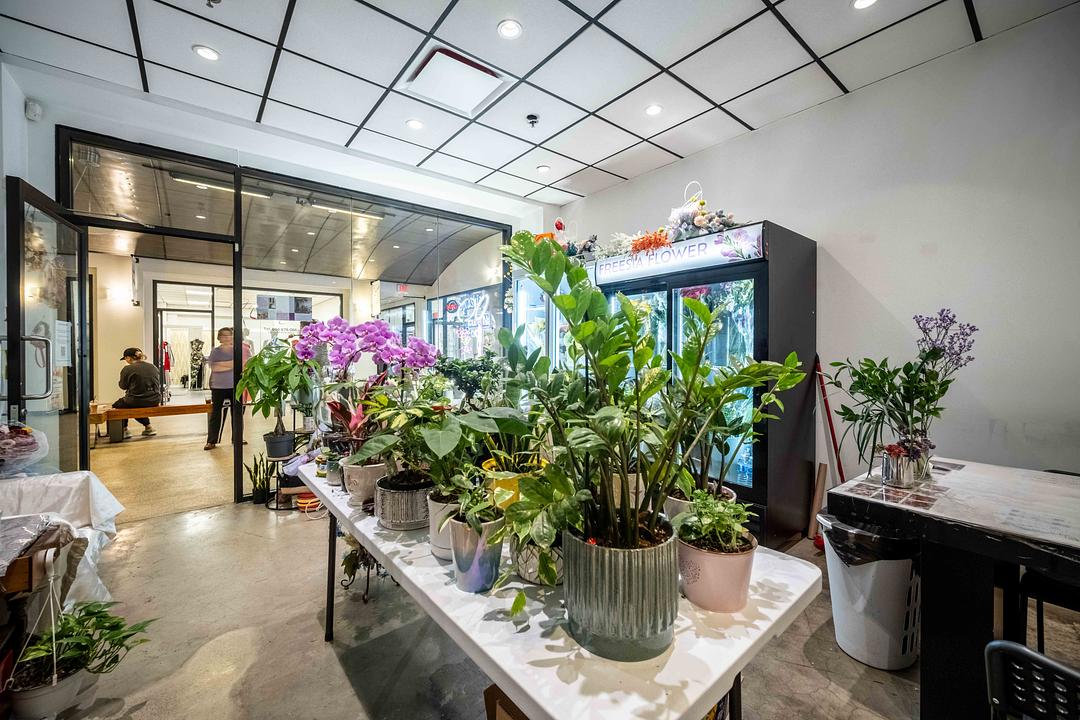 108 - 1058 Mainland Street, Vancouver, BC