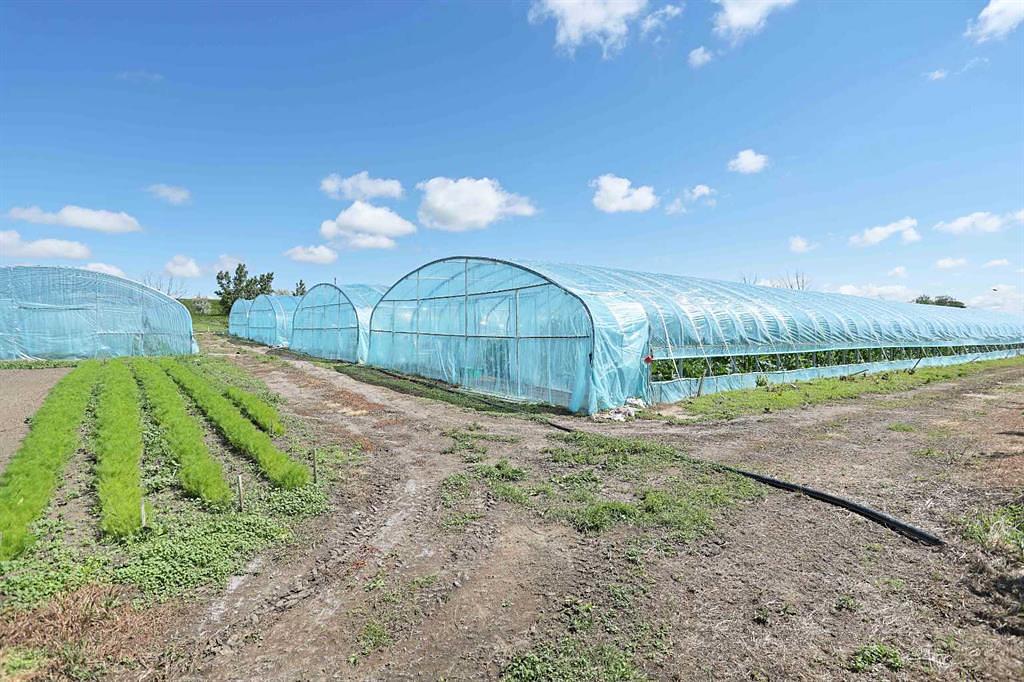 185077 RR153, Rural Newell, County of, AB