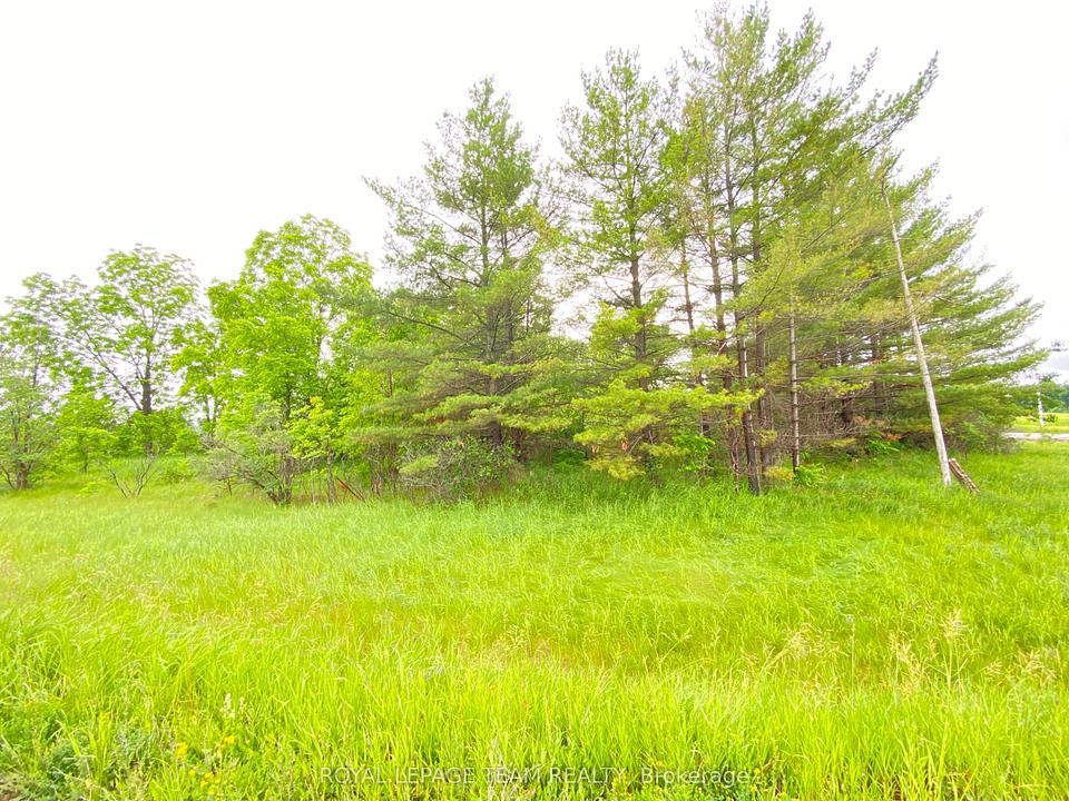 1 Madawaska Boulevard, Arnprior, ON