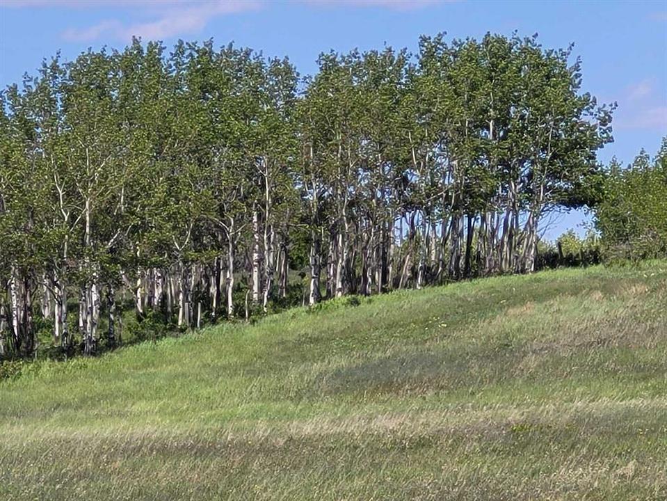 272065 Lochend Road, Rocky View County, AB