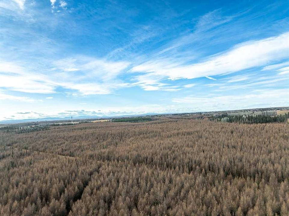 Range Road 6.2, Rural Clearwater County, AB