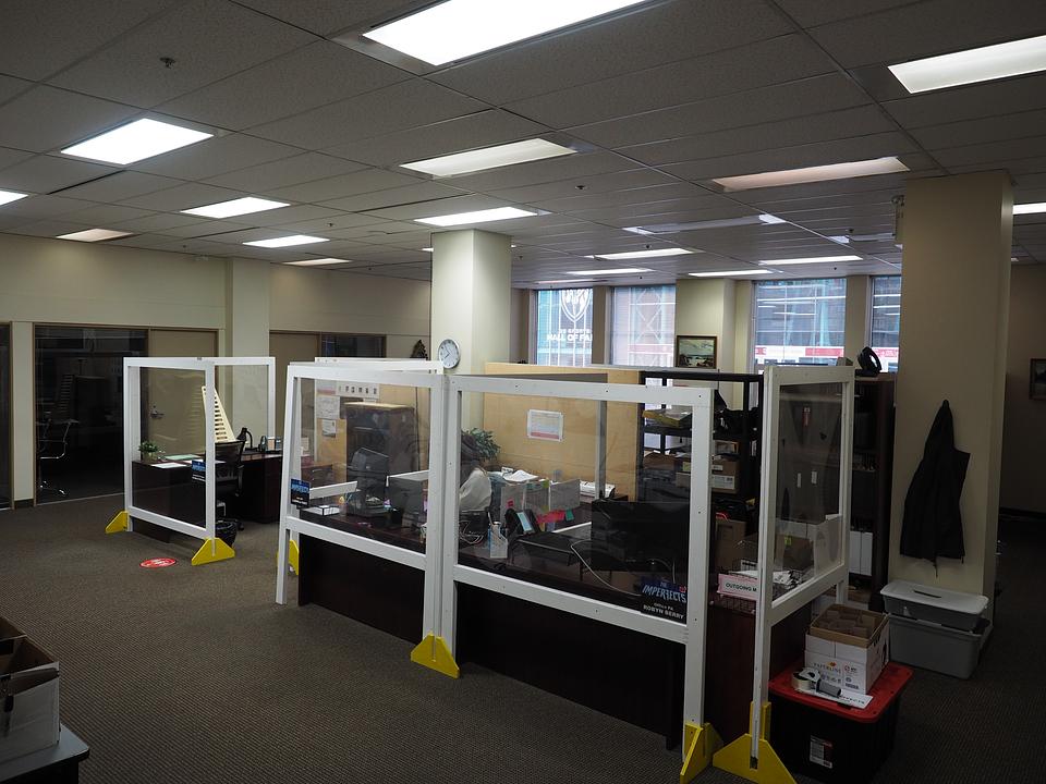main floor - 780 Beatty St, Vancouver, BC