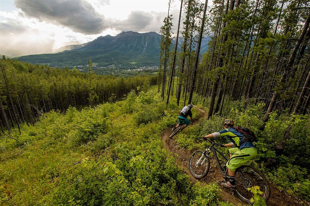 Alpine Trail and Burma Road, Fernie, BC