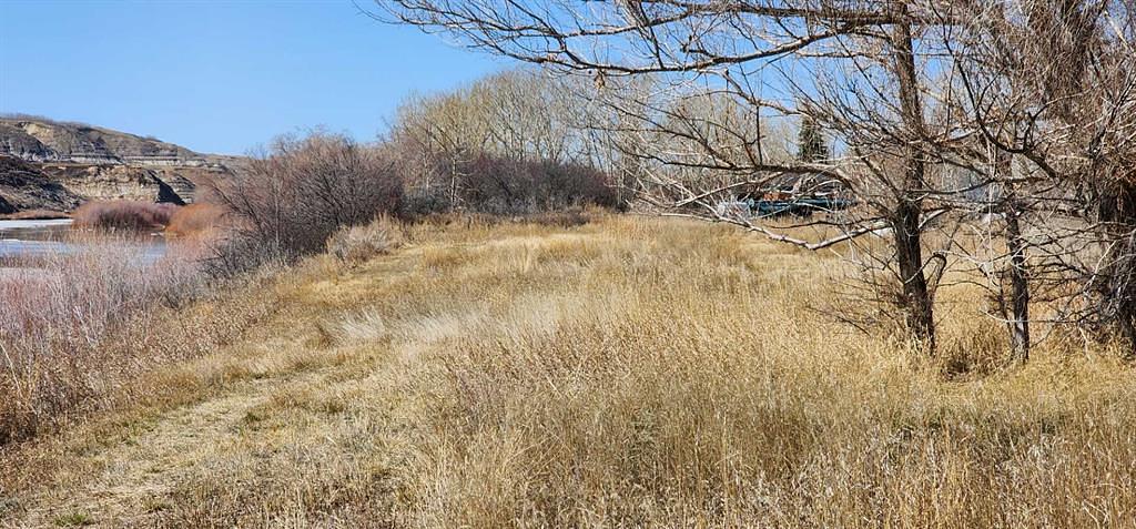 5235 Alberta 10, Drumheller, AB