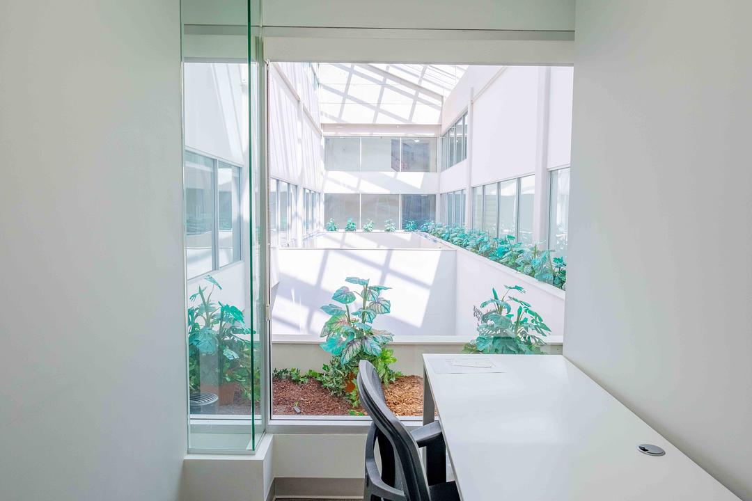 254 - 515 W Pender St, Vancouver, BC
