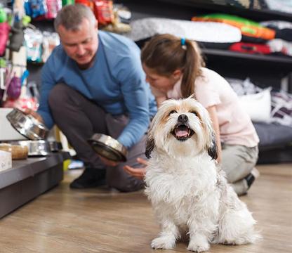 123 Pet Store Way, Edmonton, AB