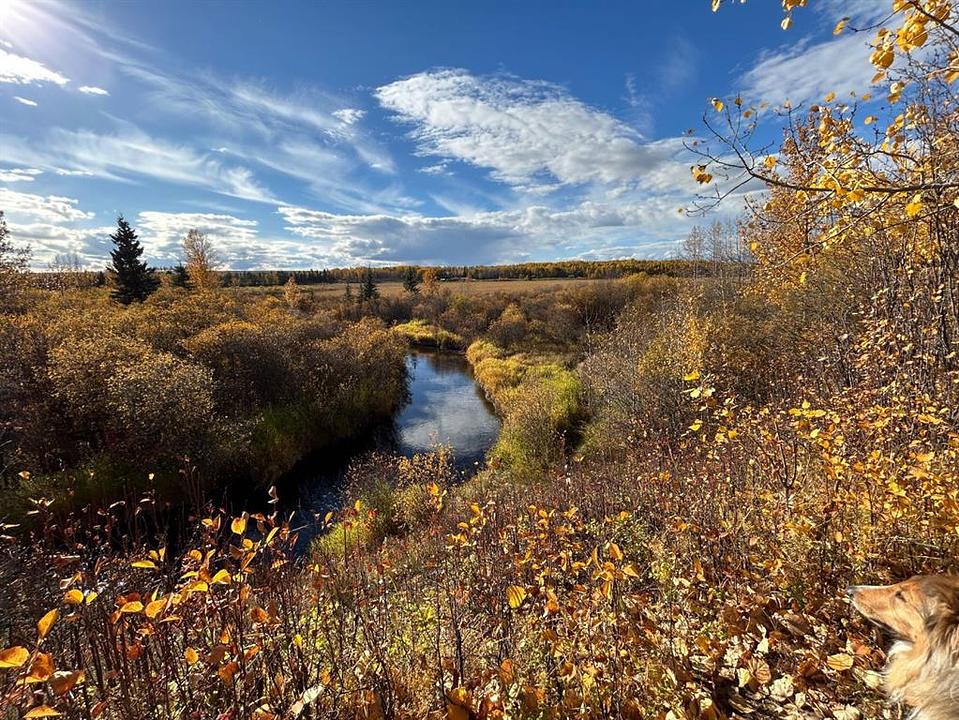 Township Road 323a, Mountain View County, AB
