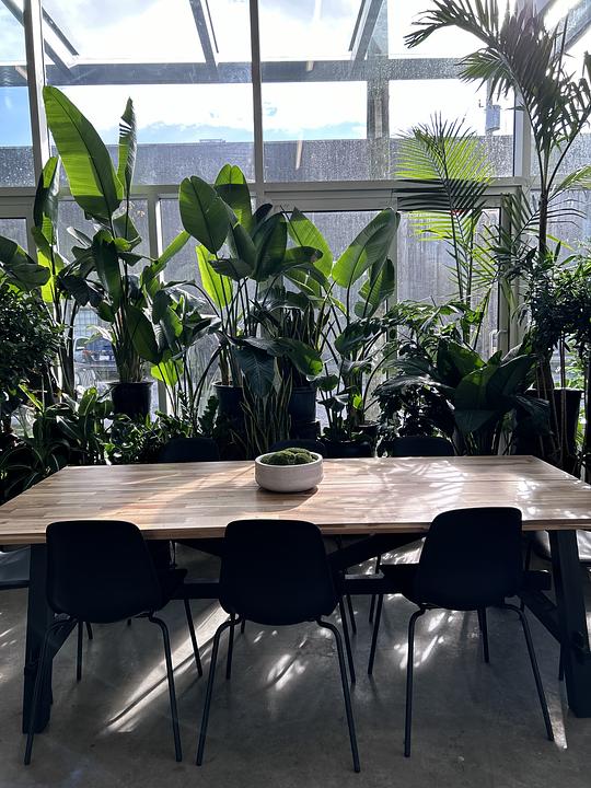 990 George Street, Vancouver, BC