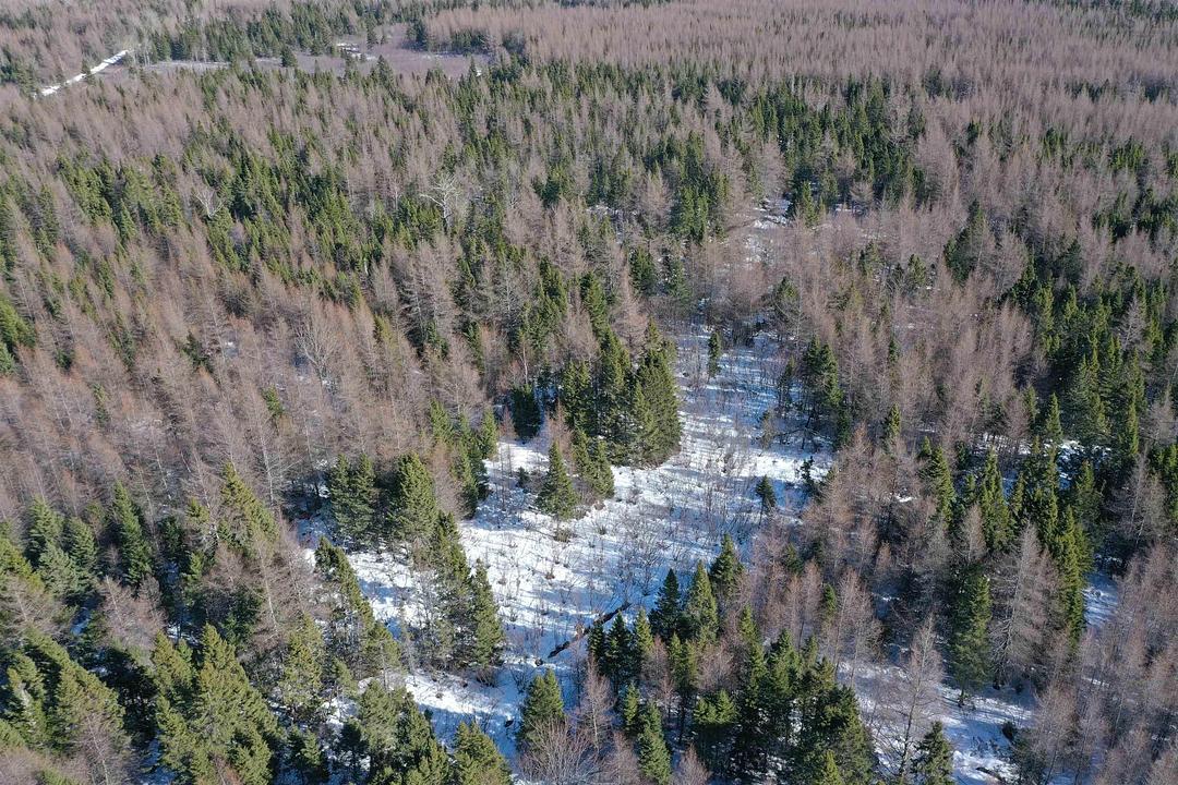 Whycocomagh Port Hood Road, Mabou, NS