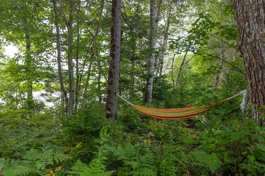 1542 Canaan Road, Carleton, NS