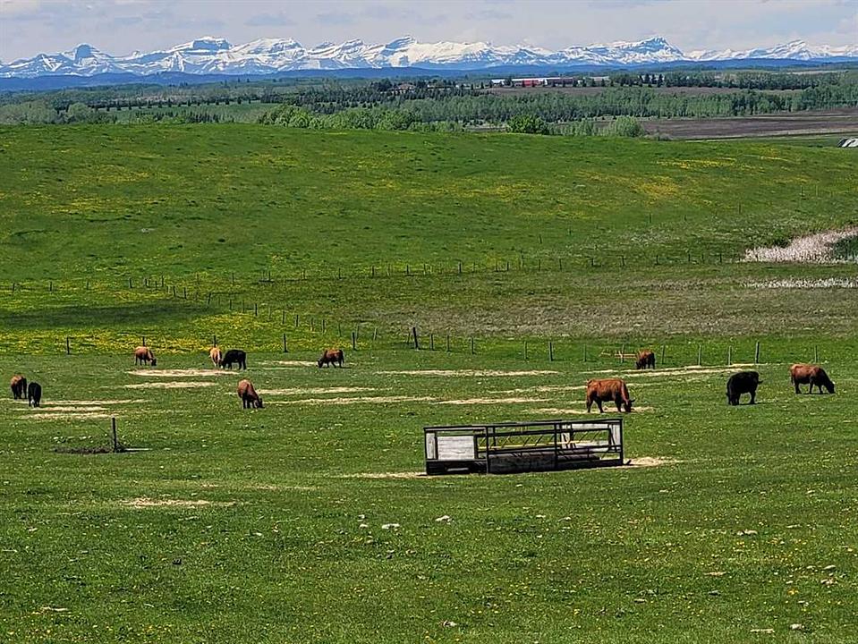 272065 Lochend Road, Rocky View County, AB