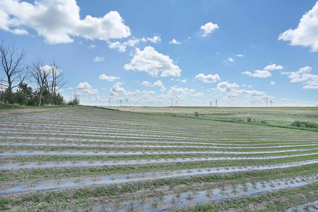 185077 RR153, Rural Newell, County of, AB