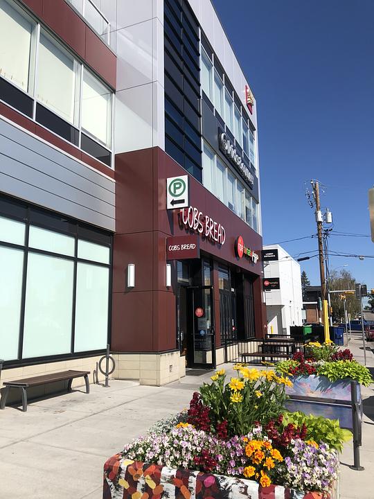 3425 22 Street Southwest, Calgary, AB