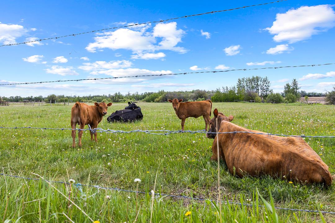 26517 Township Road 584, Pickardville, AB