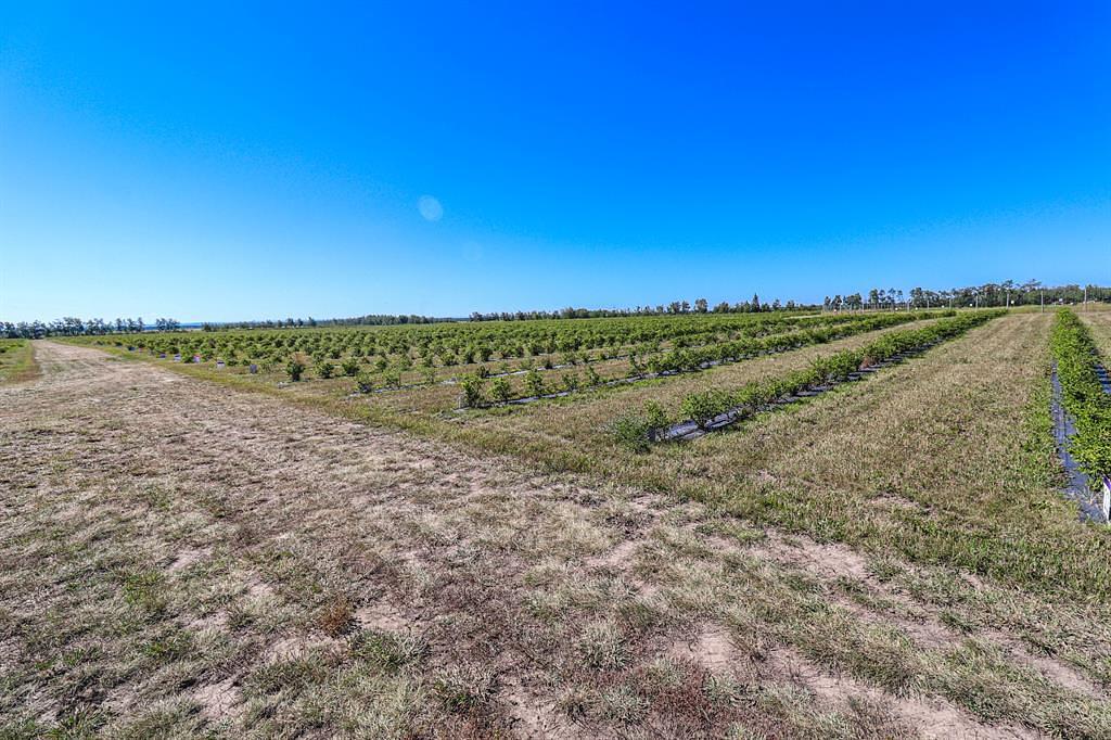 705068 Range Road 82, Wembley, AB