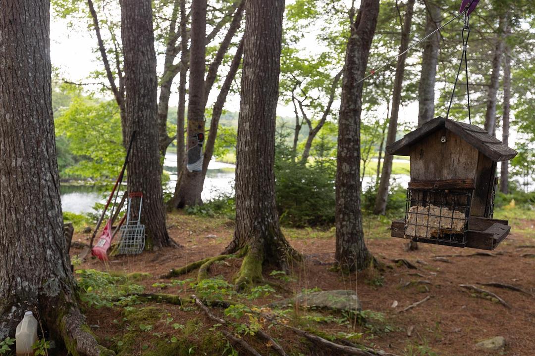 1542 Canaan Road, Carleton, NS