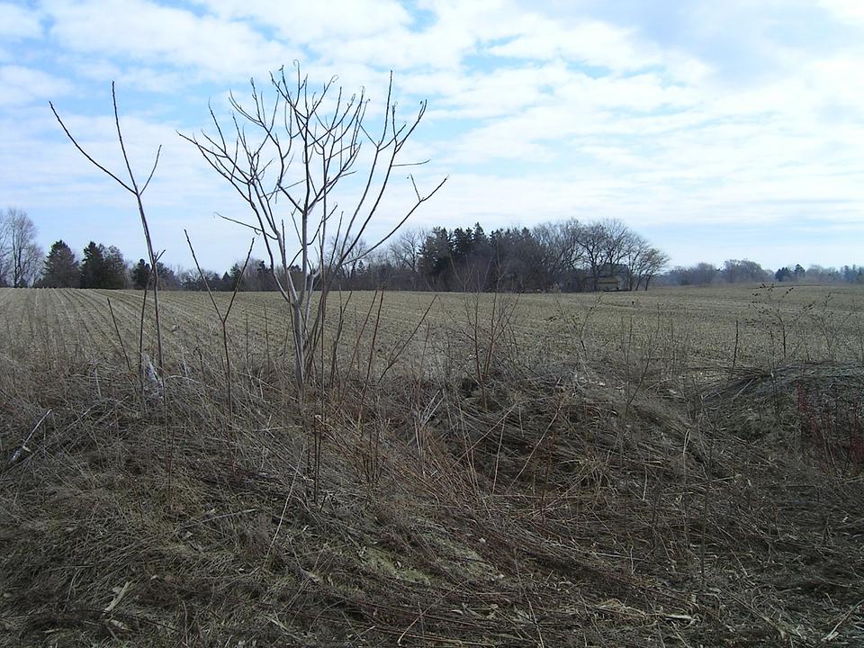 655 Cramer Road, Hamilton, ON