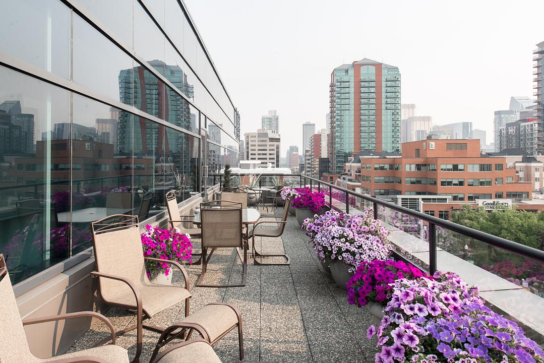 Mount Royal Executive Centre - 909 17 Avenue Southwest, Calgary, AB