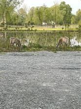 116 Constance Creek Drive, Dunrobin, ON