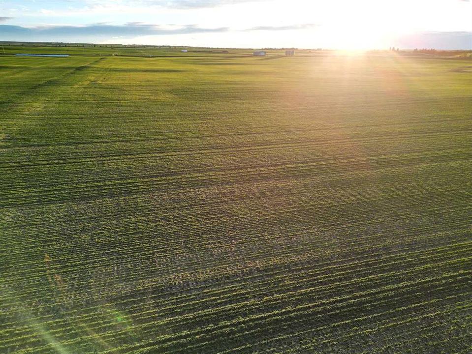 Range Road 274, Rocky View County, AB
