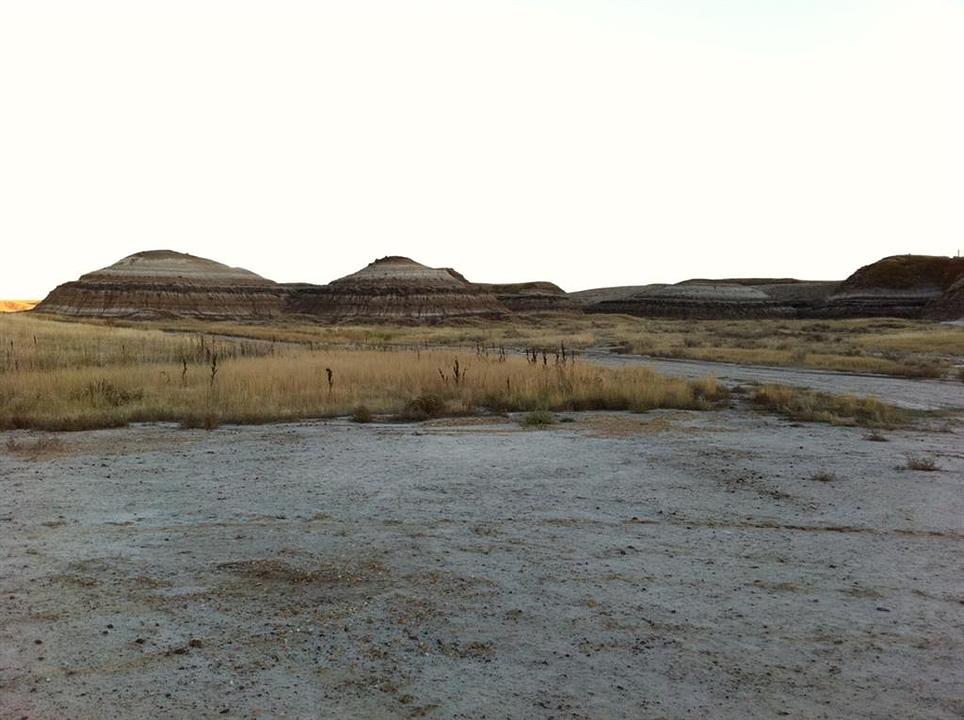 NW-02-029-20W4M NW Other, Drumheller, AB