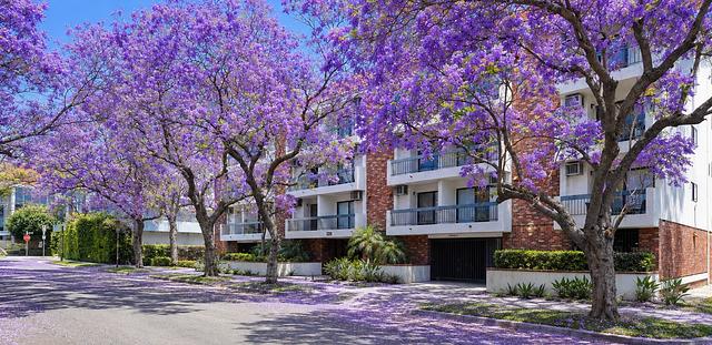 320 South Arnaz Drive, Los Angeles, CA