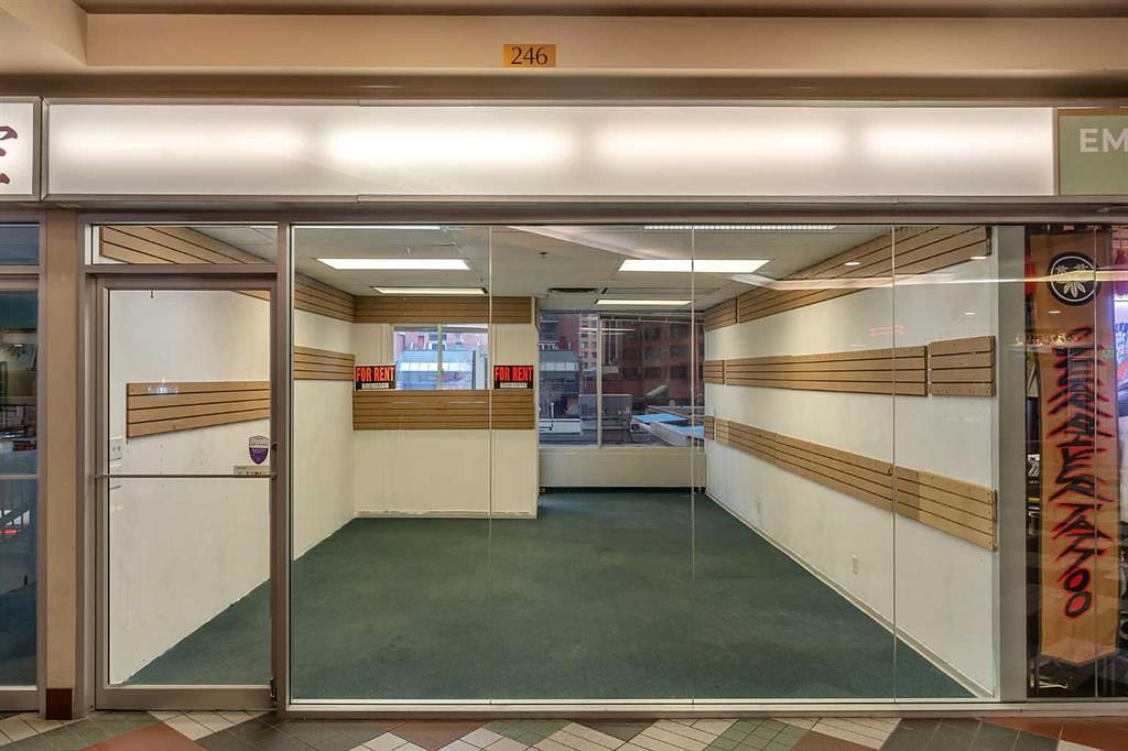 246 - 328 Centre Street South, Calgary, AB