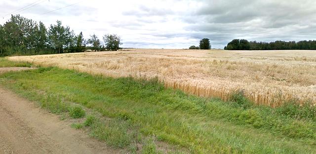 Range Road 243 & Township Road 504 (Highway 625), Leduc County, Leduc County, AB