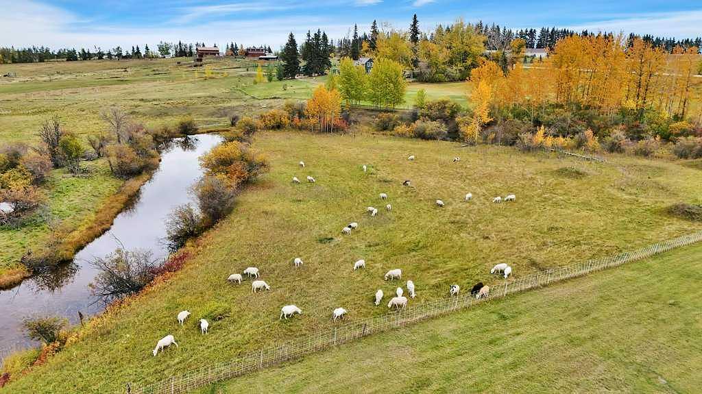39212A - Highway 766, Red Deer County, AB