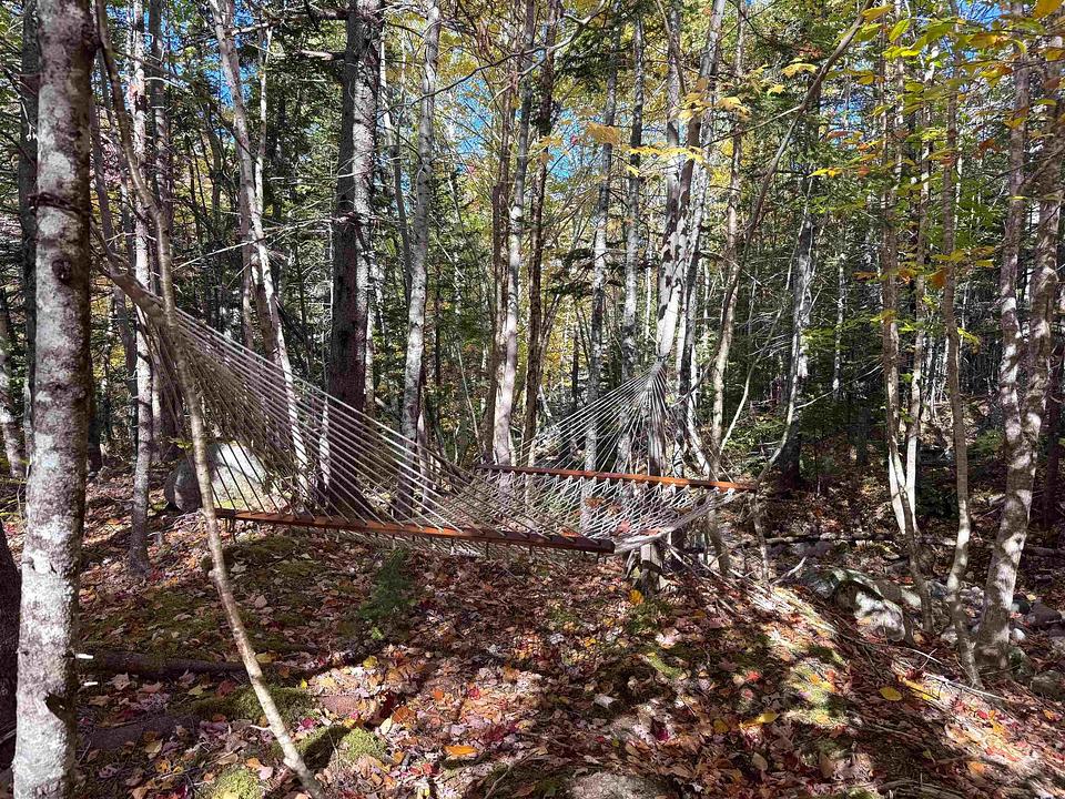 47403 Cabot Trail, Margaree Valley, NS