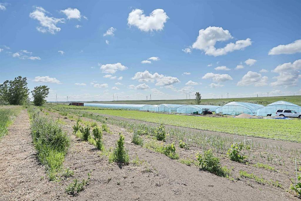 185077 RR153, Rural Newell, County of, AB