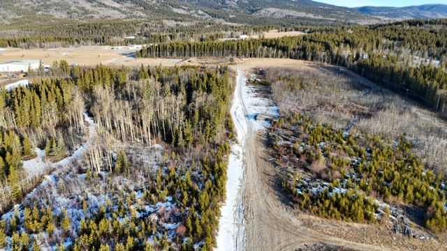 Mountain Trail, Grande Cache, AB