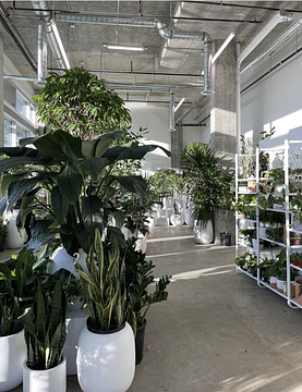990 George Street, Vancouver, BC