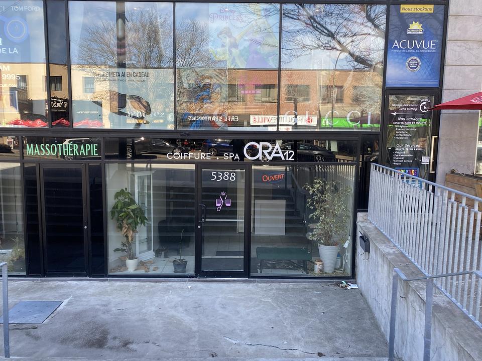 5388 Chemin Queen Mary, Montréal, QC